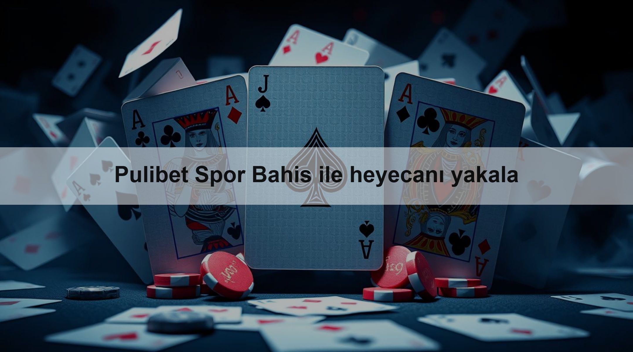 Pulibet Spor Bahis ile heyecanı yakala